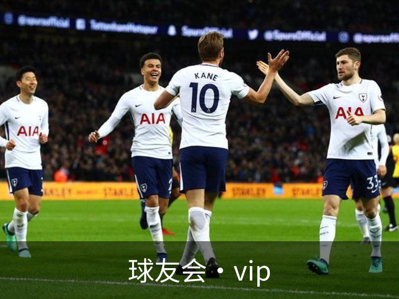 球友会·vip介绍